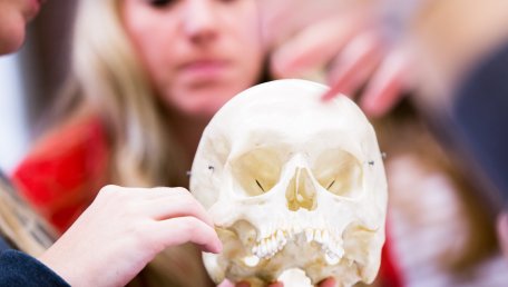 Students examine a human skull model during an anatomy and physiology lab.